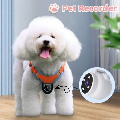 Pet Camera Collar with GPS Tracker - LukkyDeals