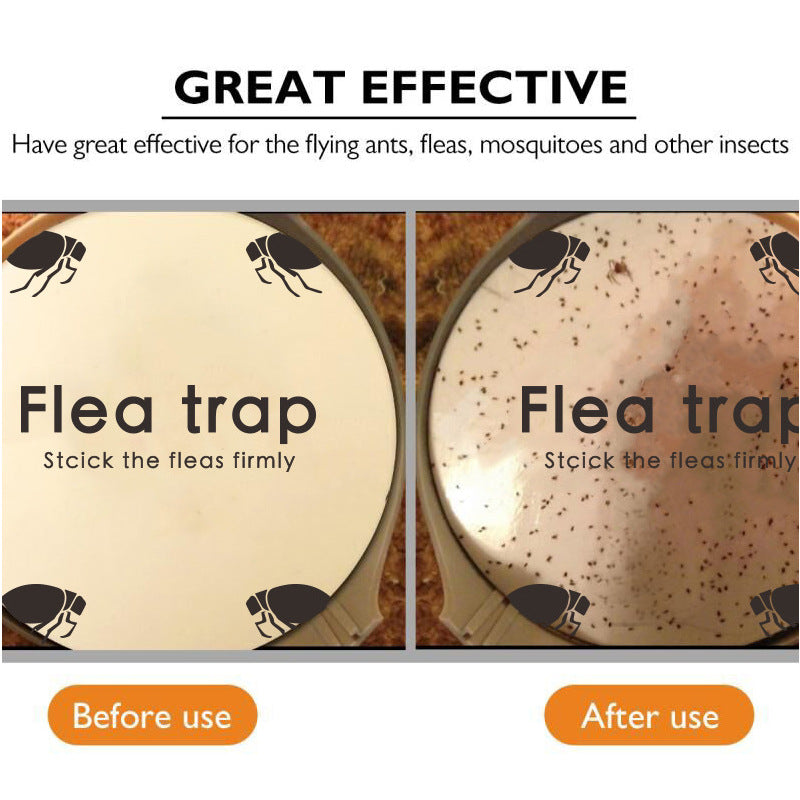 Pumpkin-shaped Flea Trap Household Sticker