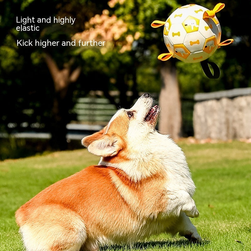 Dog Interactive Football Toys Children Soccer Dog Outdoor Training Balls Pet Sporty Bite Chew Teething Ball With Cute Printing