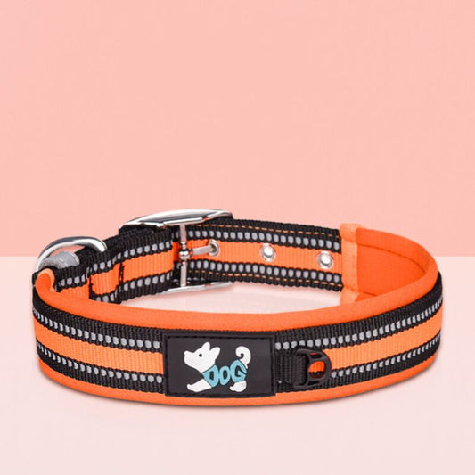 Pet Nylon Reflective Collar Leash Set