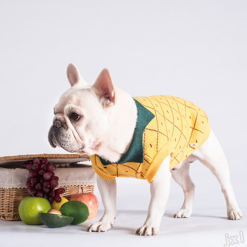 French Bulldog Yellow Sweater