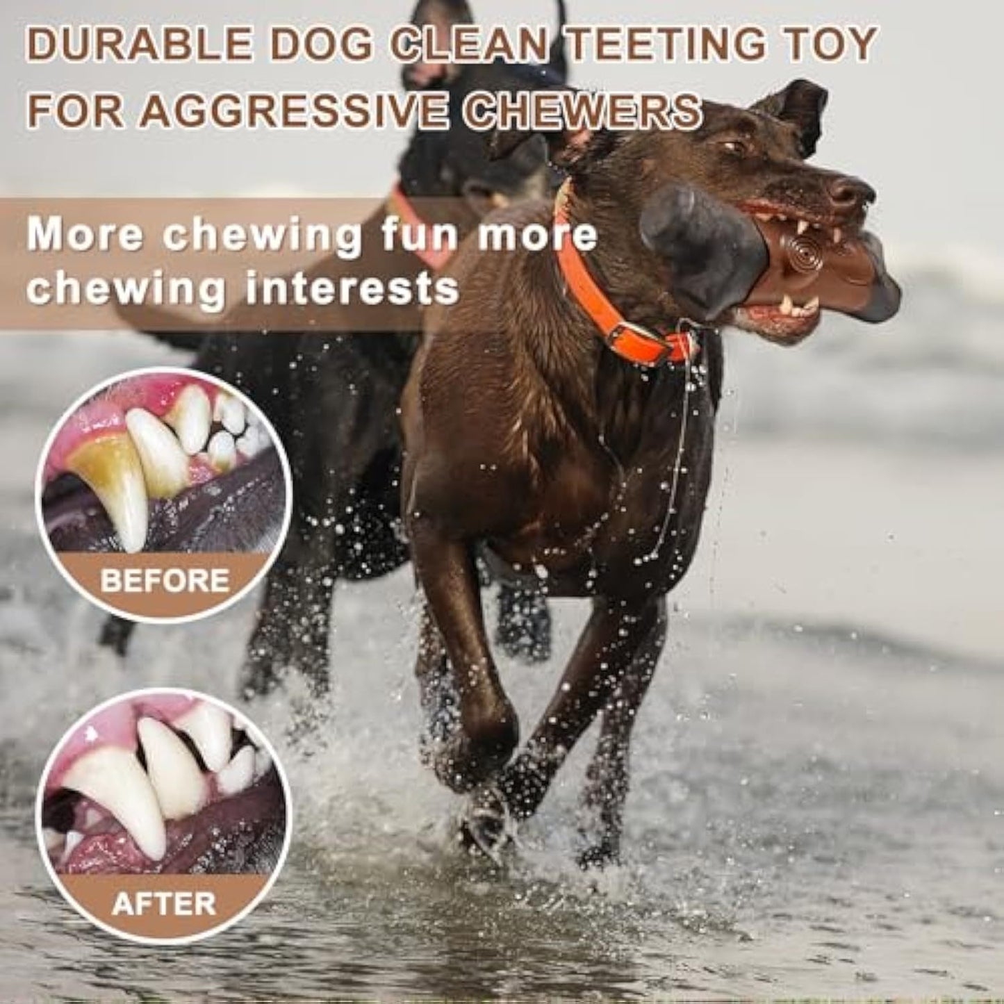 Tough Dog Toys for Aggressive Chewers | Indestructible Chew Toys for Large Dogs