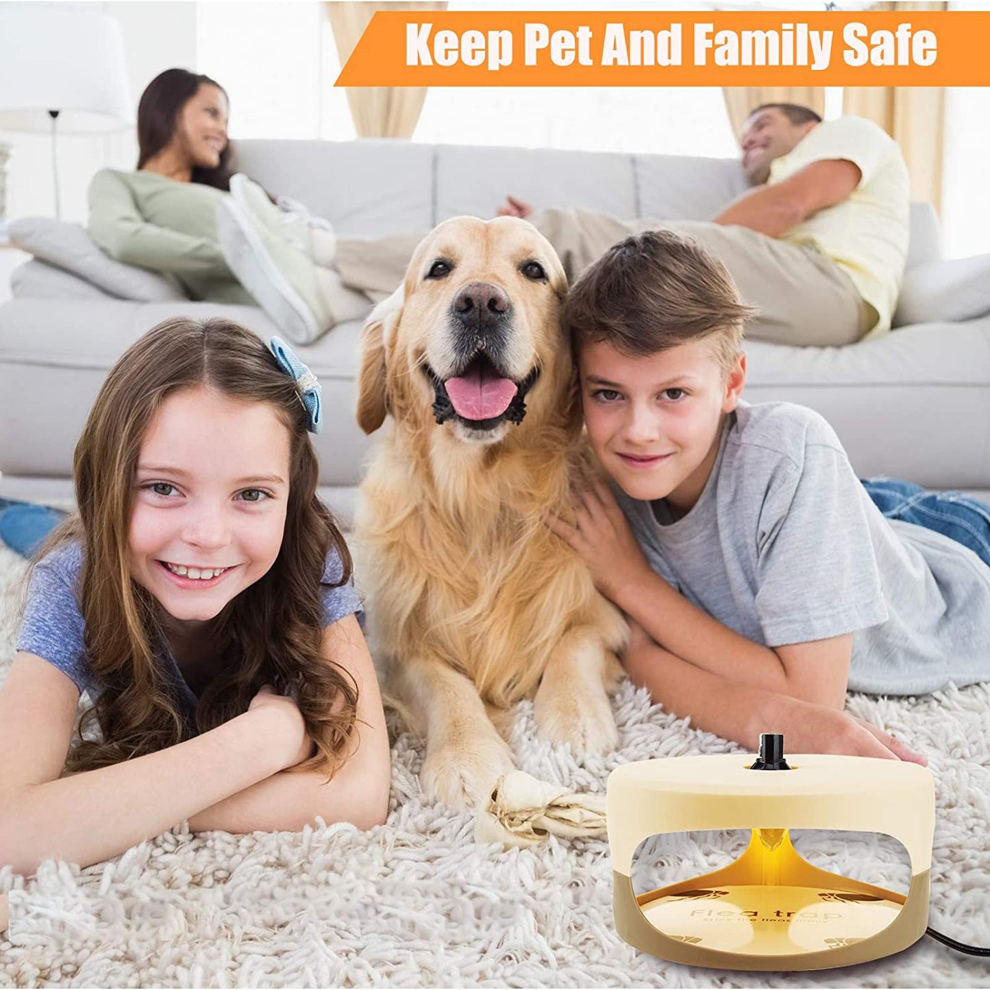 Flea Killer Indoor Bed Bug Trap Pest Control, Non Toxic & Harmless, Friendly to Pets & Kids