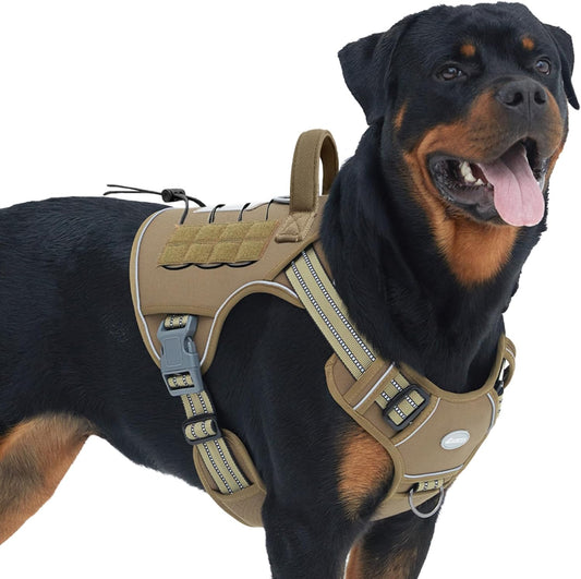 Secure Adventure Dog Harness