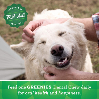 Greenies Dental Chews for Dogs