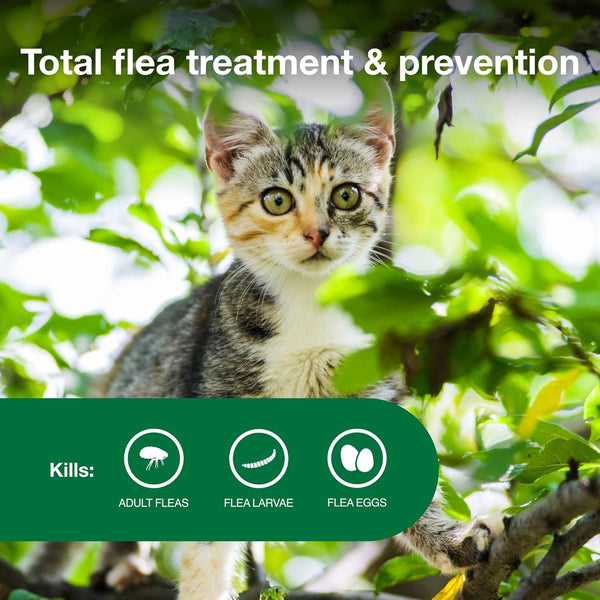 Purrfect Kitten Flea Shield LukkyDeals