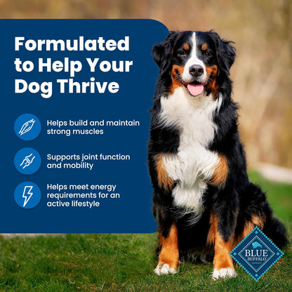 Healthy Paws Dog Food Delight LukkyDeals