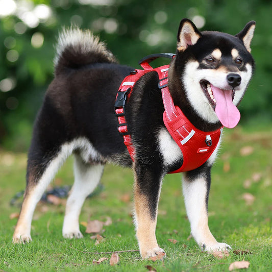 Reflective Dog Safety Vest LukkyDeals