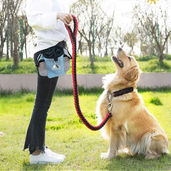 Pawsome Treat Carry Bag LukkyDeals