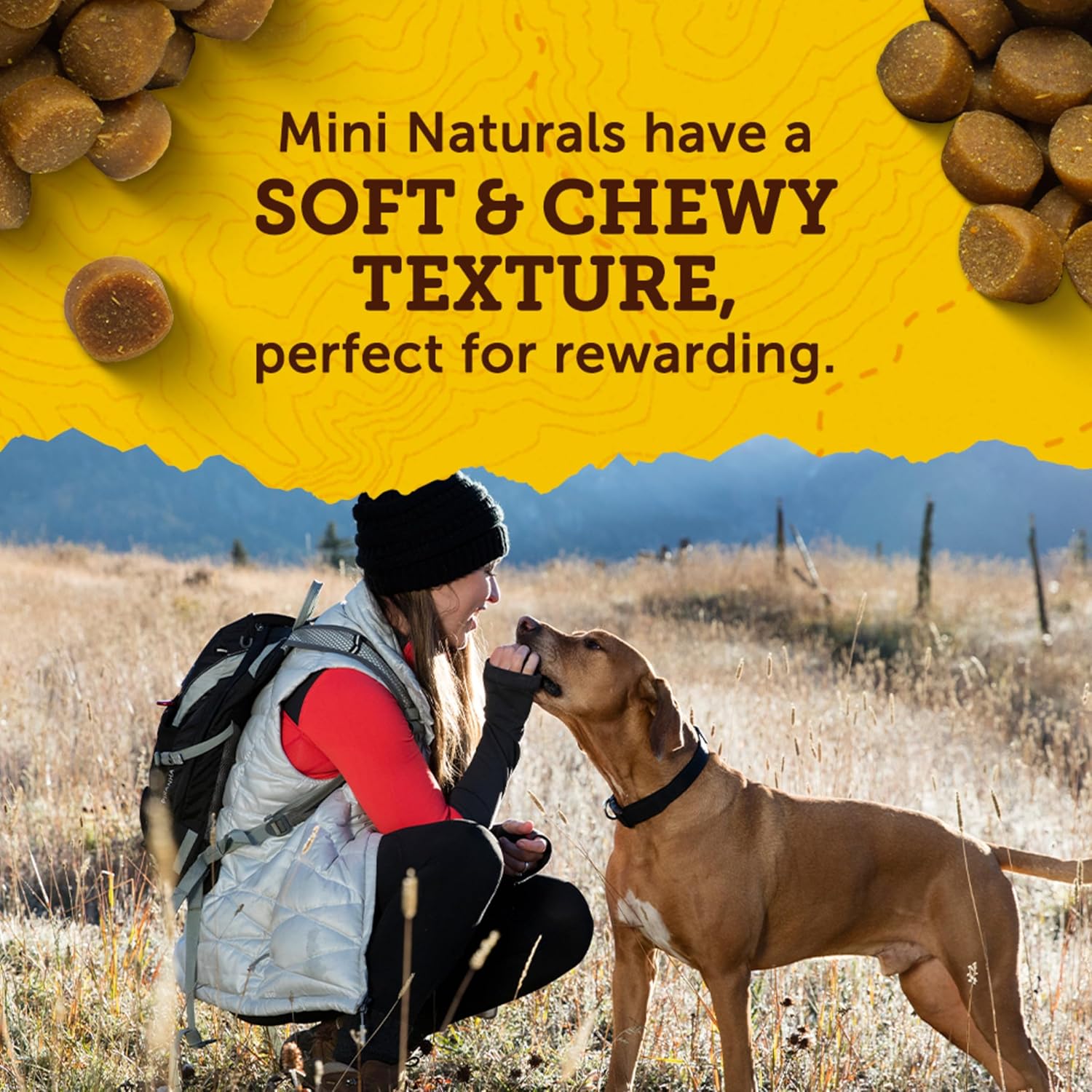 Zuke's Mini Training Treats LukkyDeals