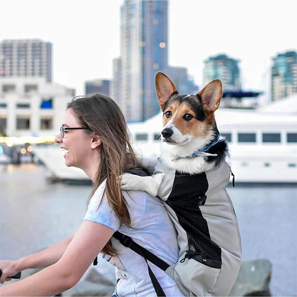 Comfort Ride Pet Backpack