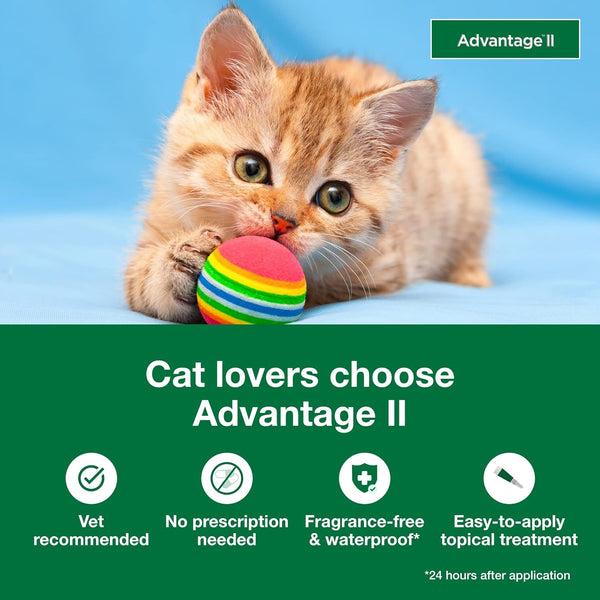 Purrfect Kitten Flea Shield LukkyDeals