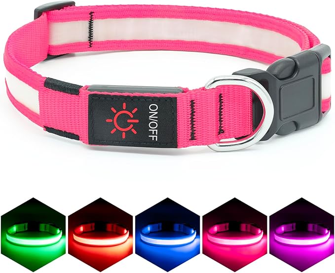 LED Dog Collar – USB Rechargeable Light-Up Safety Collar for Dogs (Medium, Green) LukkyDeals