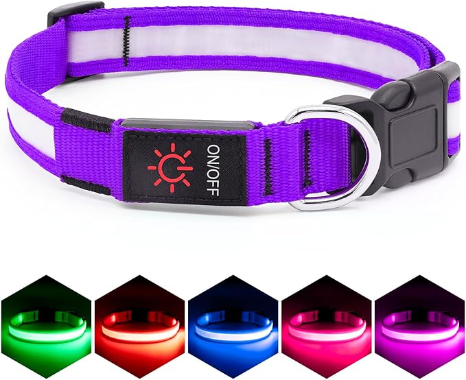 LED Dog Collar – USB Rechargeable Light-Up Safety Collar for Dogs (Medium, Green) LukkyDeals