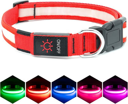 LED Dog Collar – USB Rechargeable Light-Up Safety Collar for Dogs (Medium, Green) LukkyDeals